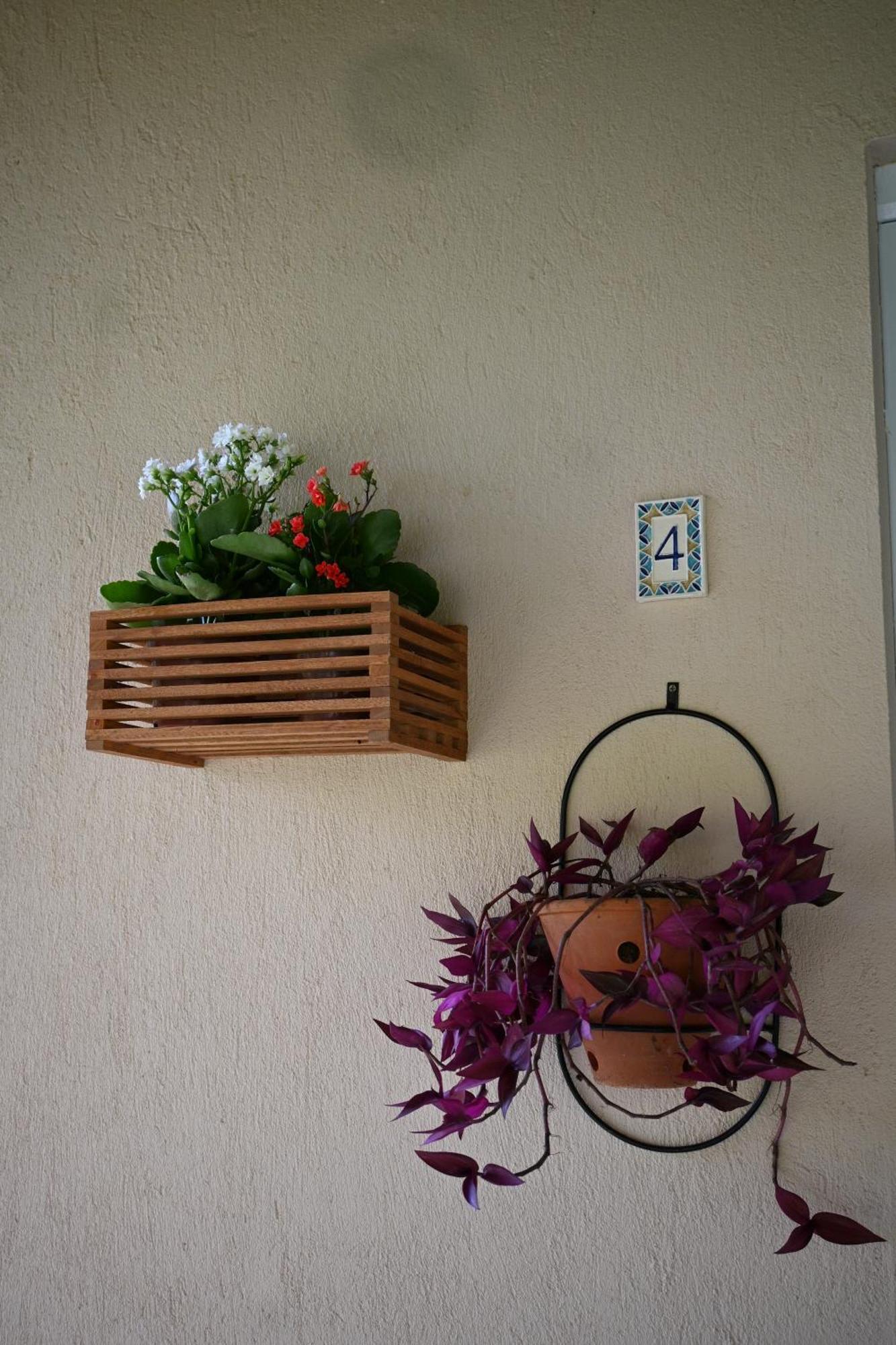 Sitio Terra Sana Bed & Breakfast Santa Teresa  Eksteriør bilde